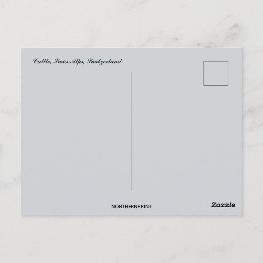 Cattle in Switzerland ポストカード (裏面)