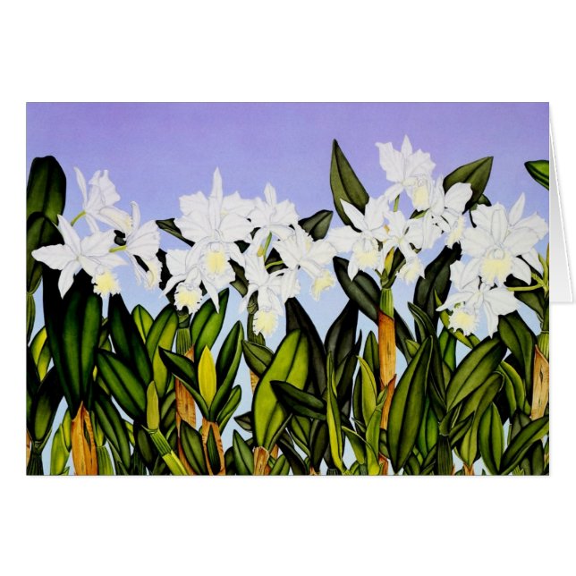 Cattleyaの白い蘭 (正面横)