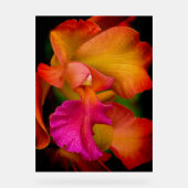 Cattleya Orchid Portrait アクリルサイン (正面)