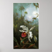Cattleya Orchid Vintage Poster ポスター (正面)