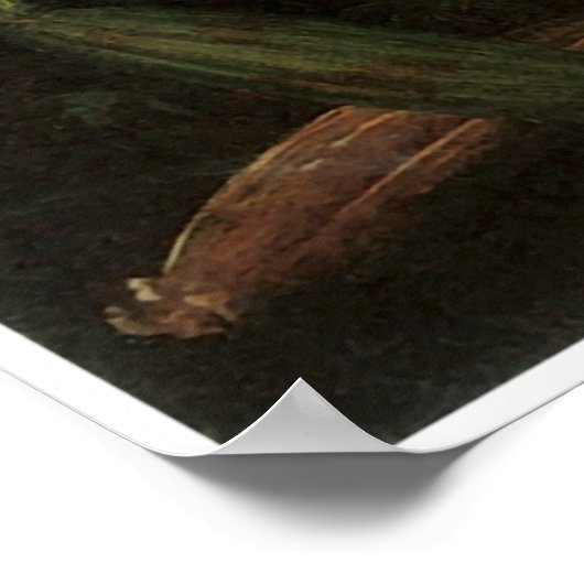 Cattleya Orchid Vintage Poster ポスター (角)