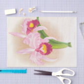 Cattleya Trianae Var Purpurpurprata (Orchid)by Lin 薄葉紙 (クラフト)