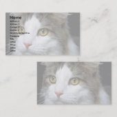 Catty 名刺 (正面/裏面)