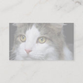 Catty 名刺 (裏面)