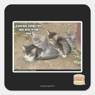 Caturdayのジグザグ行進 スクエアシール
