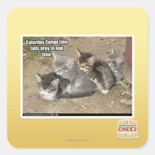 Caturdayのジグザグ行進 スクエアシール