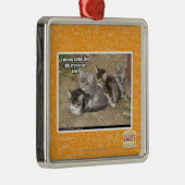 Caturdayのジグザグ行進 メタルオーナメント (右)