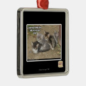 Caturdayのジグザグ行進 メタルオーナメント (右)