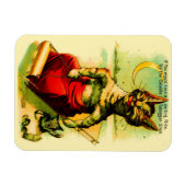 Catville Tobogganスライドを試す マグネット (横)