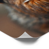 Caught snacking again - Squirrel Ai image ポスター (角)