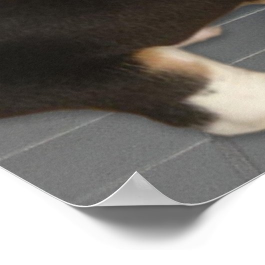 Caught with My Pants Down Again, Cute Puppy Dog ポスター (角)