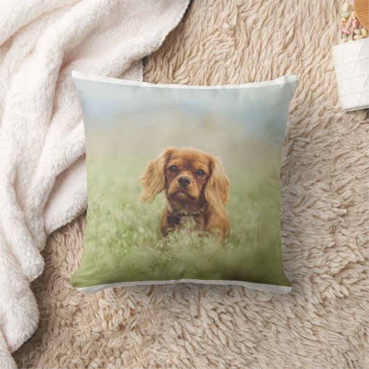 cavのルビー クッション (ブランケット)