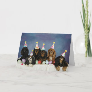 Cavタスティック誕生日 カード