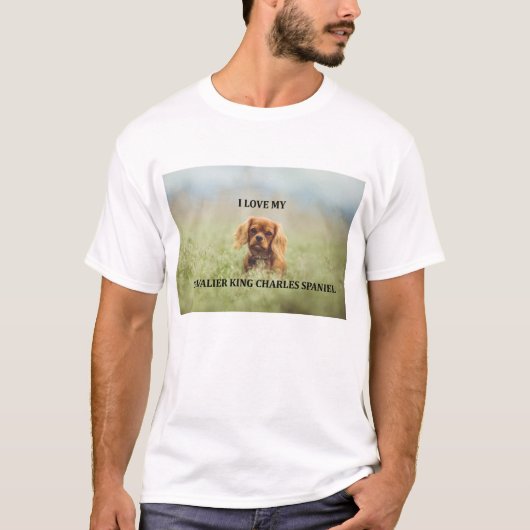 cavルビー愛w pic tシャツ (正面)