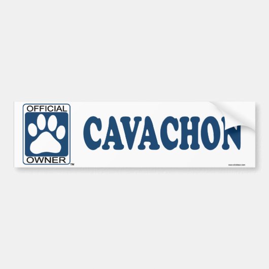 Cavachonの青 バンパーステッカー (正面)