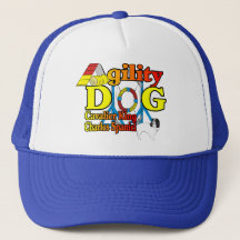 Cavalier_King_Charles_スパニエル犬_機敏性