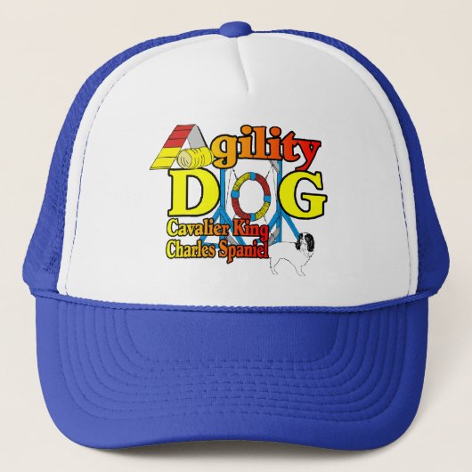 Cavalier_King_Charles_スパニエル犬_機敏性 キャップ (正面)