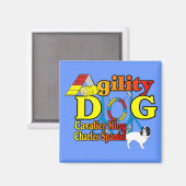 Cavalier_King_Charles_スパニエル犬_機敏性 マグネット (正面/裏面)