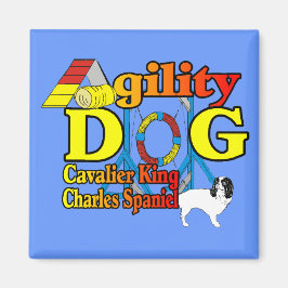Cavalier_King_Charles_スパニエル犬_機敏性 マグネット