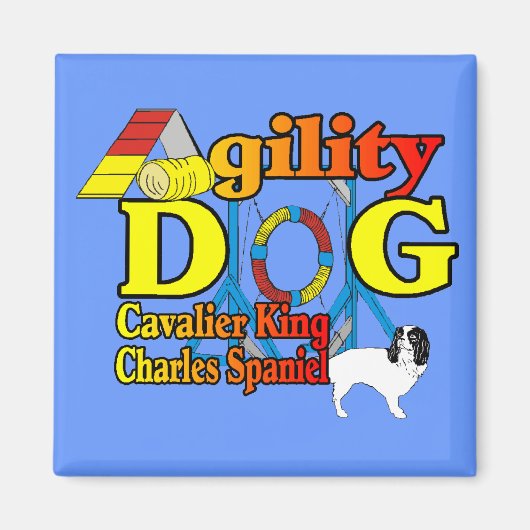 Cavalier_King_Charles_スパニエル犬_機敏性 マグネット (正面)