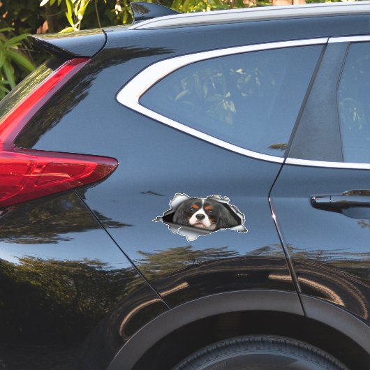 Cavalier King Charles car decal, Cavalier King シール (車体側面)