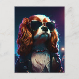 cavalier king charles dans la rue avec un blouson ポストカード