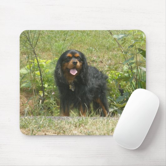 Cavalier King Charles Spaniel マウスパッド (マウス)