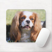 Cavalier King Charles Spaniel マウスパッド (マウス)