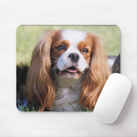 Cavalier King Charles Spaniel マウスパッド (マウス)
