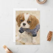 Cavalier King Charles Spaniel card ノートカード (正面/裏面インサイチュ)