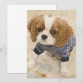Cavalier King Charles Spaniel card ノートカード (正面/裏面)