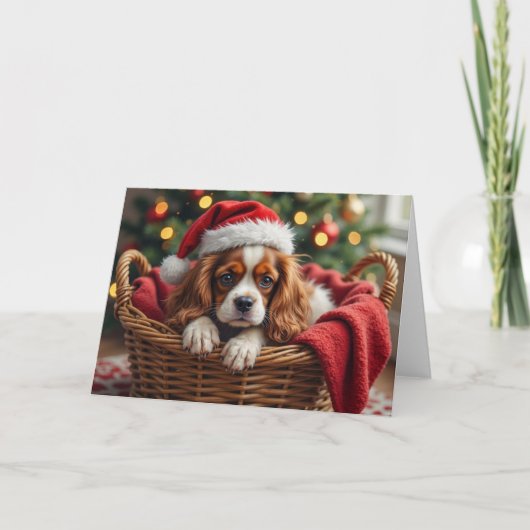 Cavalier King Charles Spaniel Cozy Basket カード (正面)