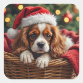 Cavalier King Charles Spaniel Cozy Basket スクエアシール (正面)