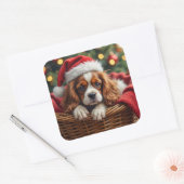 Cavalier King Charles Spaniel Cozy Basket スクエアシール (封筒)