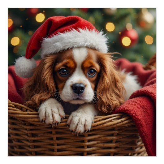 Cavalier King Charles Spaniel Cozy Basket ポスター (正面)
