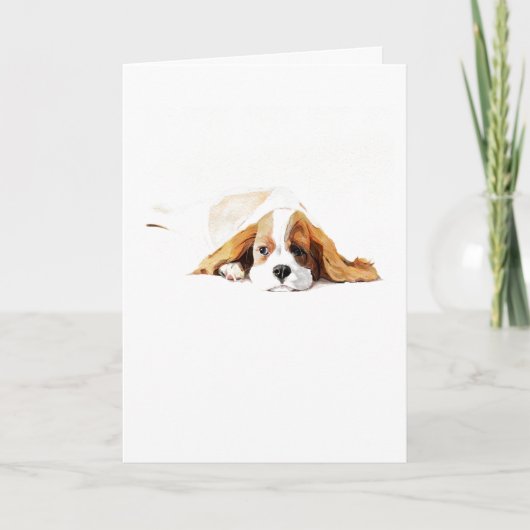 Cavalier King Charles Spaniel Greeting Card, Gift カード (正面)