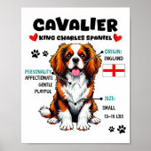 Cavalier King Charles Spaniel Owner Funny Dog Love ポスター (正面)