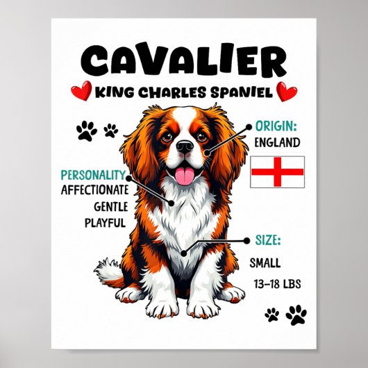 Cavalier King Charles Spaniel Owner Funny Dog Love ポスター (正面)
