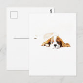 Cavalier King Charles Spaniel Postcard Gift ポストカード (正面/裏面)