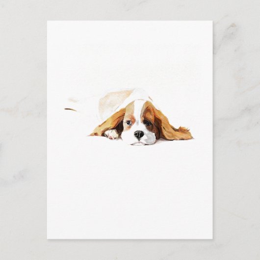 Cavalier King Charles Spaniel Postcard Gift ポストカード (正面)