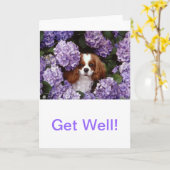Cavalier King Charles Spaniel Red and White カード (黄色い花)