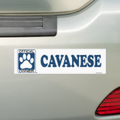 Cavaneseの青 バンパーステッカー (車上)