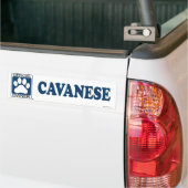 Cavaneseの青 バンパーステッカー (トラック上)