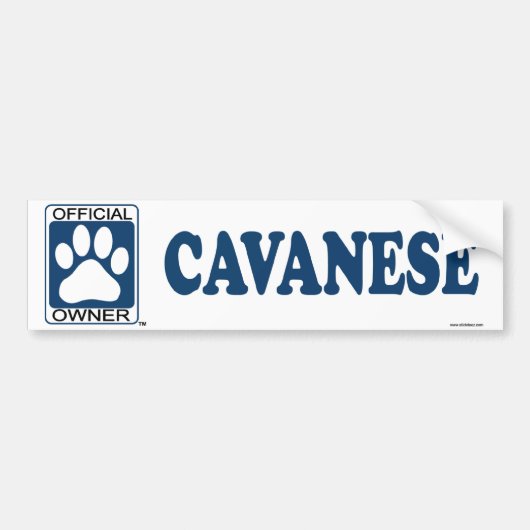 Cavaneseの青 バンパーステッカー (正面)
