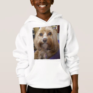 CavapooまたはCavadoodleプロダクト