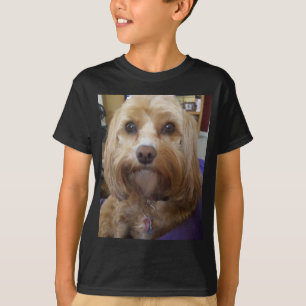 CavapooまたはCavadoodleプロダクト Tシャツ