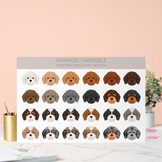 Cavapoo, Cavoodle dog mix アクリルサイン (ウェディング)