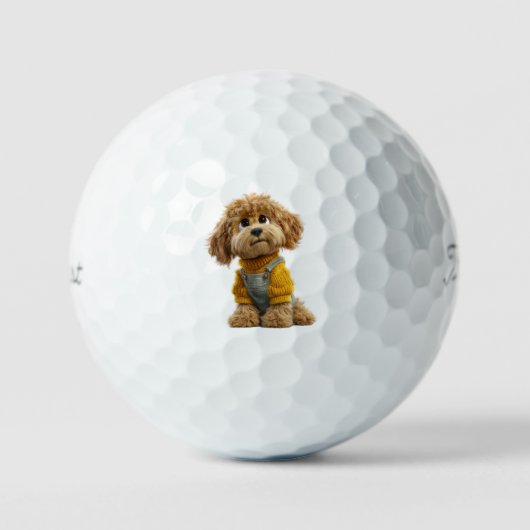 Cavapoo Golf Balls ゴルフボール (正面)