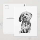 Cavapoo Postcard – Charcoal Dog Illustration ポストカード (正面/裏面)