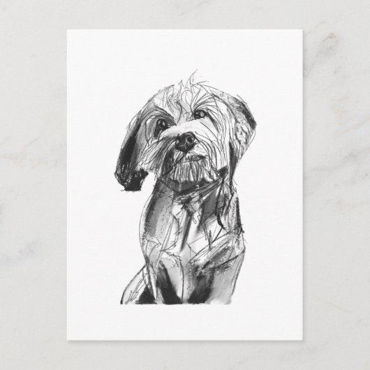 Cavapoo Postcard – Charcoal Dog Illustration ポストカード (正面)